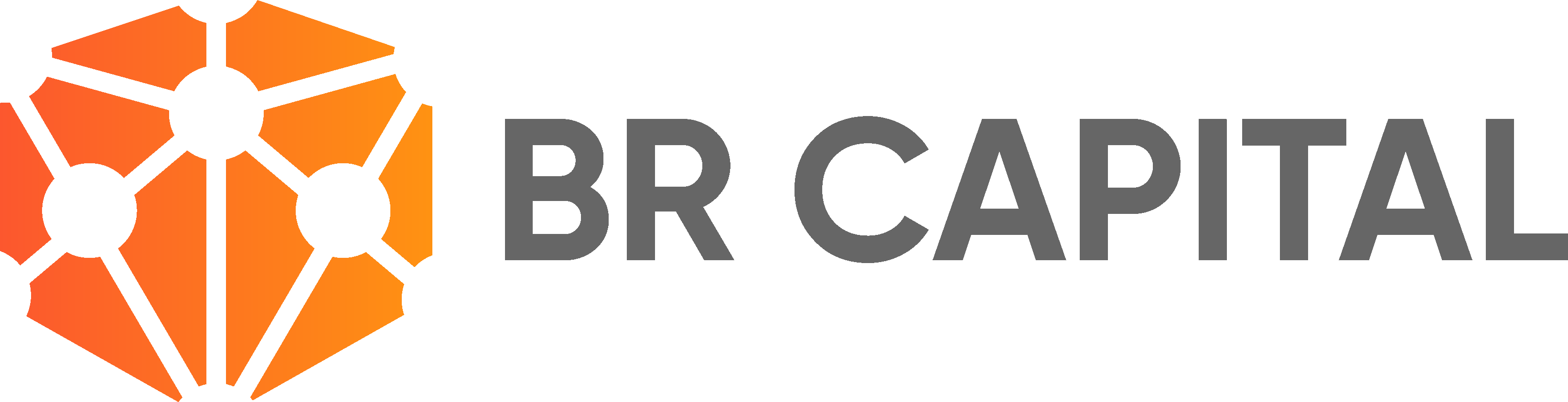 BR Capital