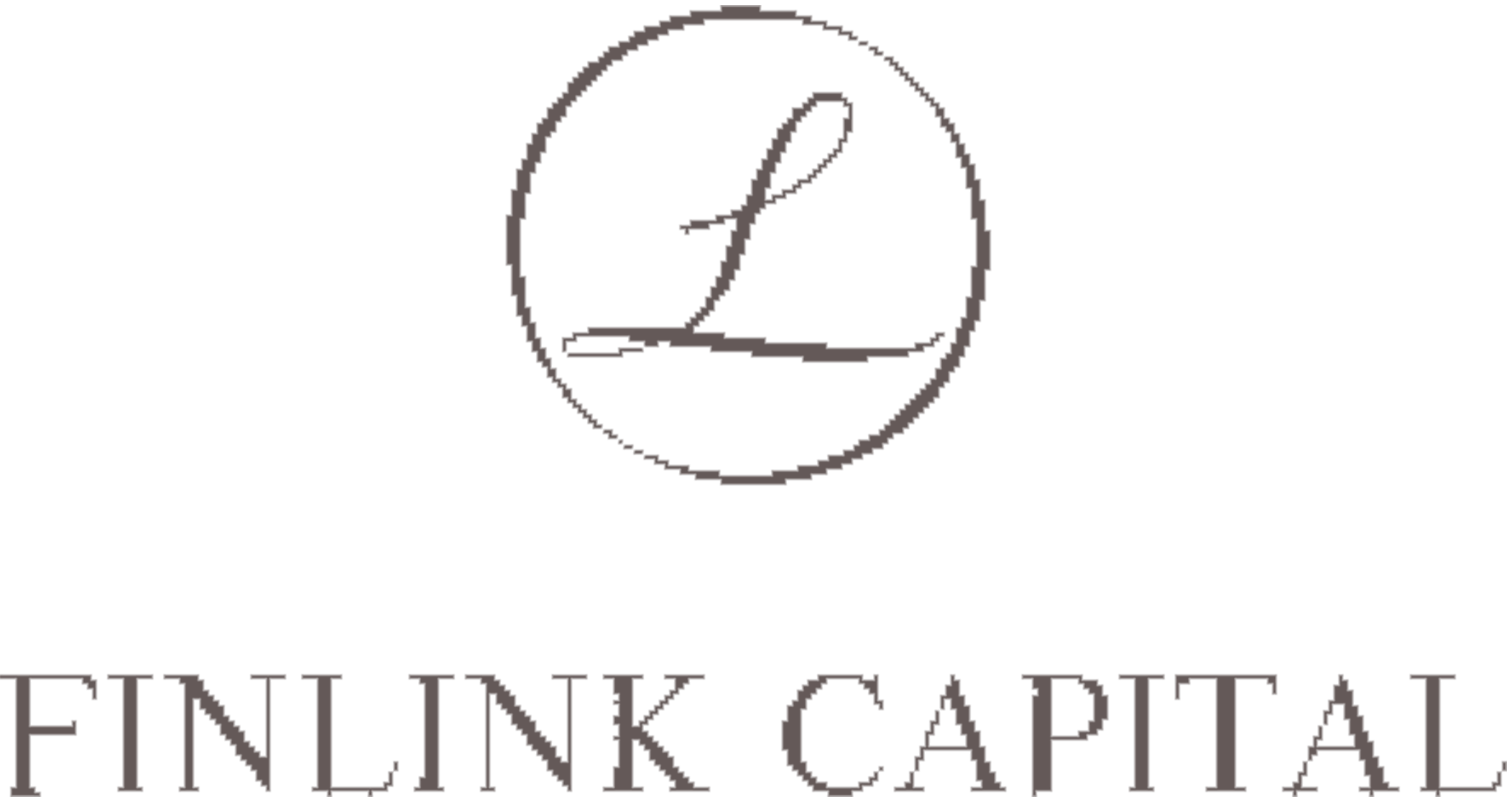 Finlink Capital
