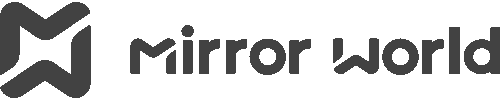 Mirror World