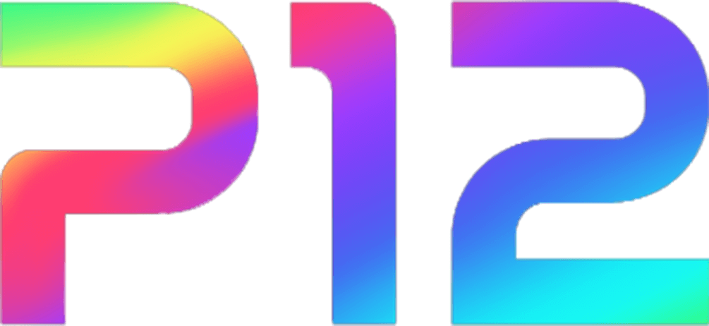 Project Twelve (P12)