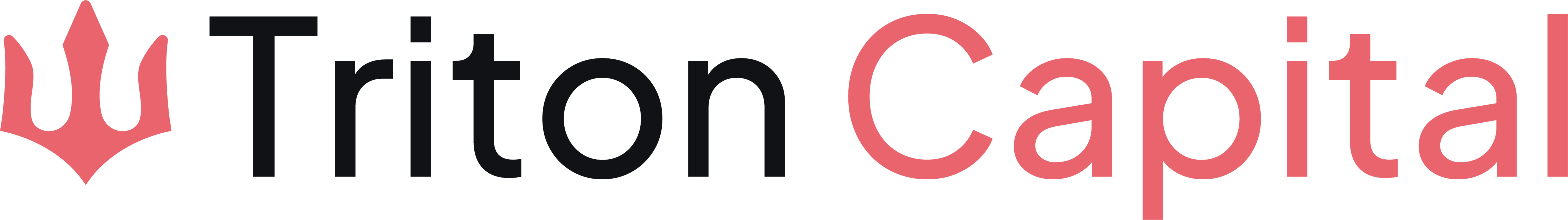 Triton Capital