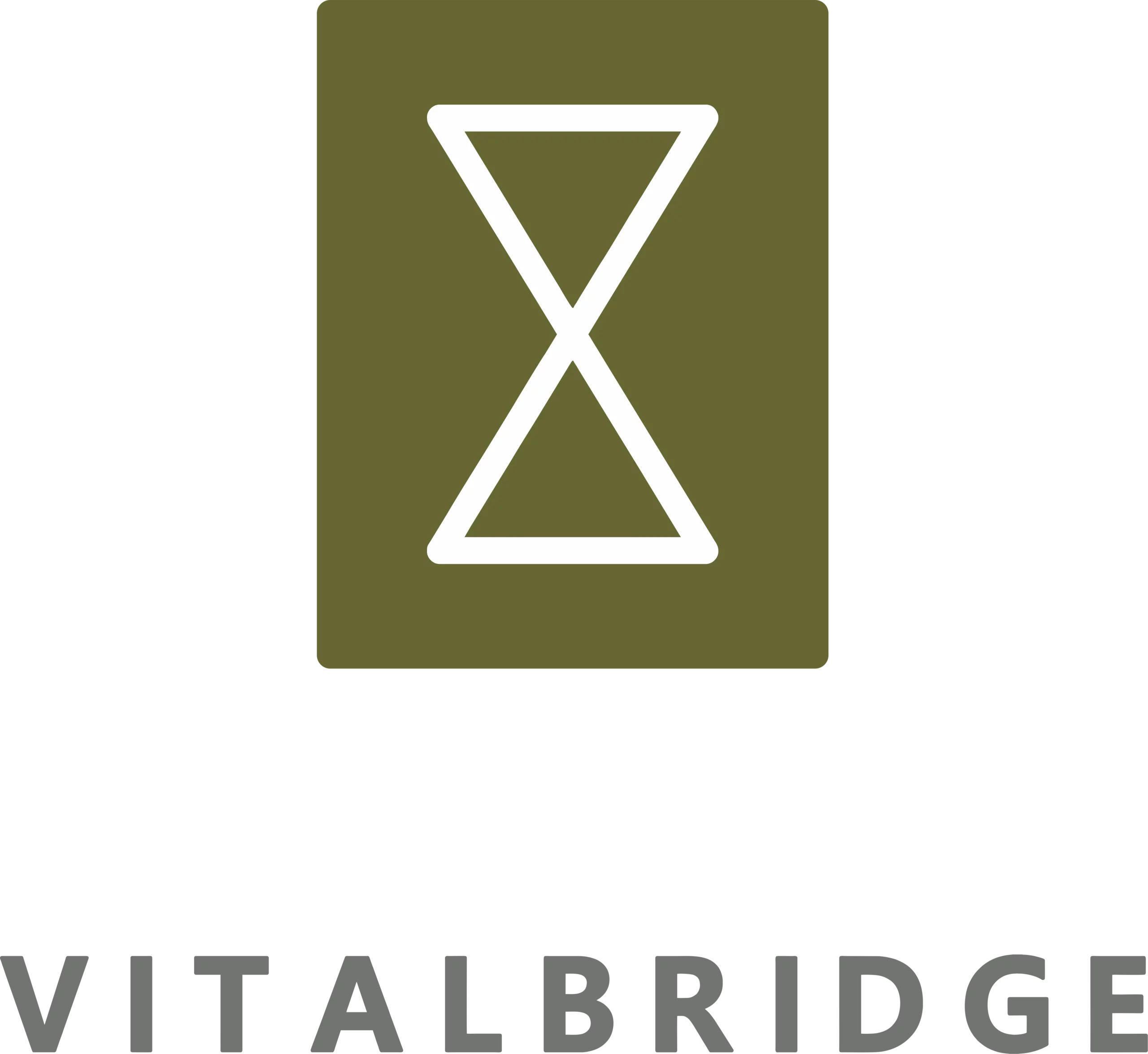 Vitalbridge Capital